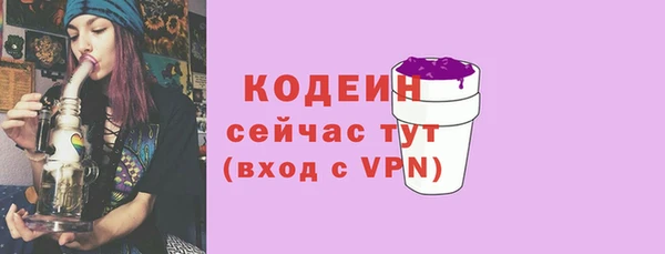 apvp Богданович